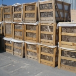 Blanco Onix marble polished slabs