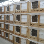 Pietra Grey marble polished slabs 