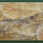 YELLOW PALIMANAN SANDSTONE RTA