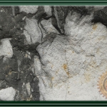 PALM STRIP SANDSTONE RTA