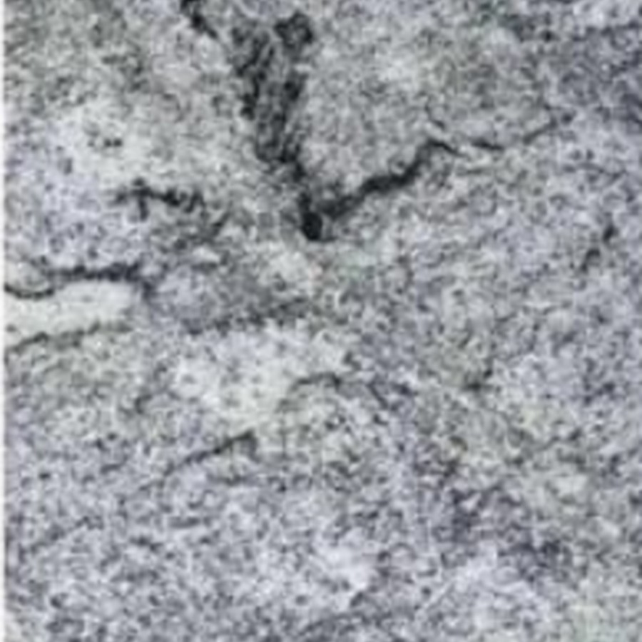Catalog import image: JUNHENG-VISCONT-WHITE-GRANITE