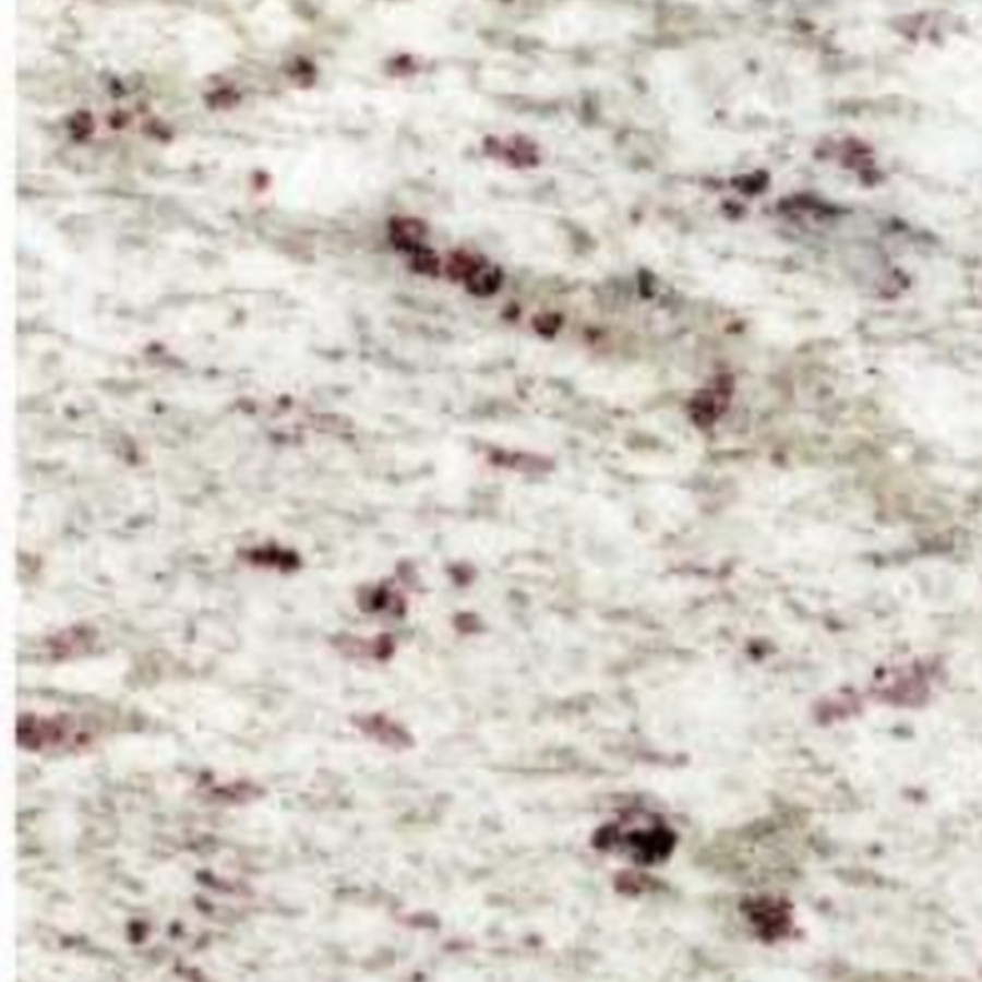Catalog import image: JUNHENG-EL-WHITE-GALAXY-GRANITE
