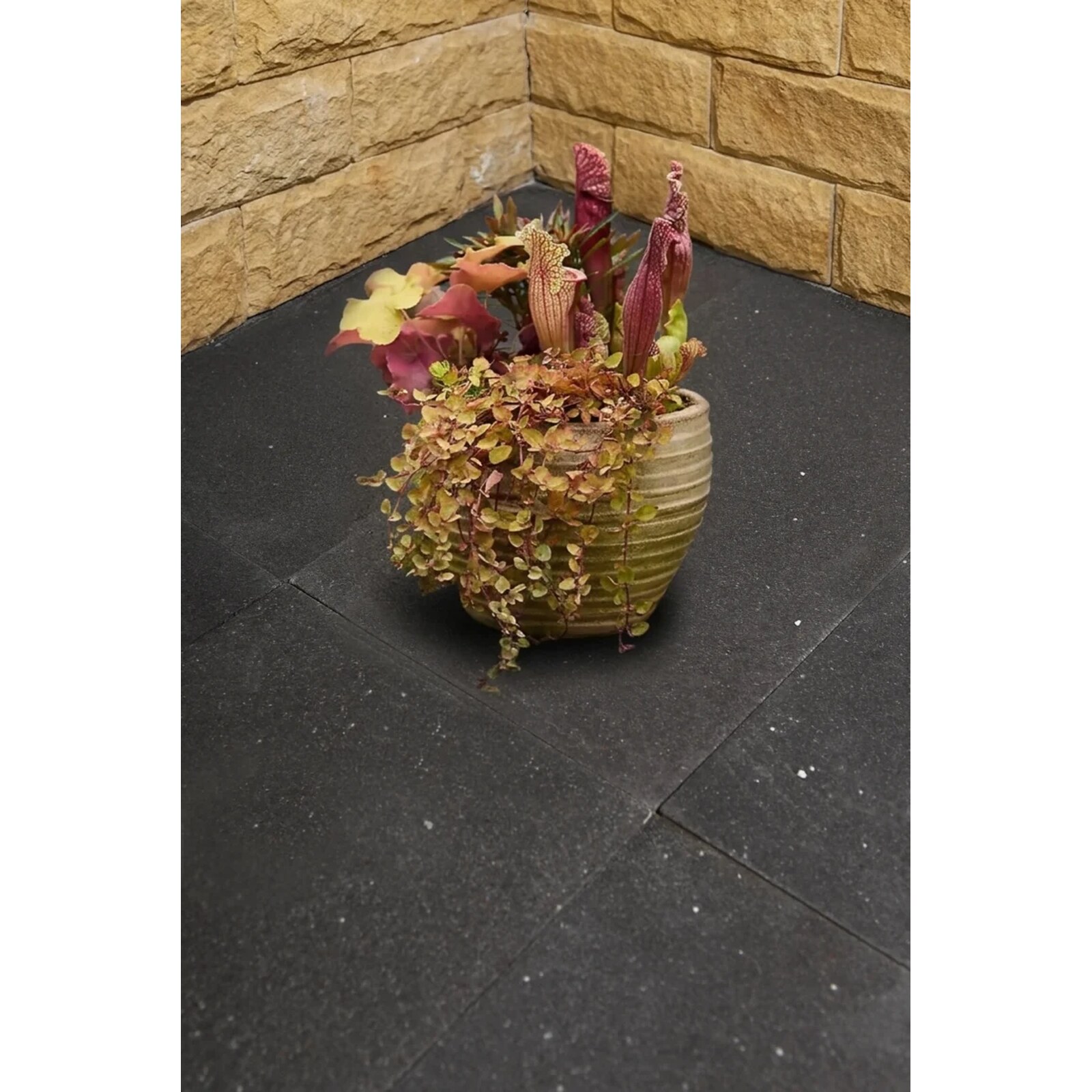 Grigio Stellato Grey Basalt – Brushed 60 Grit