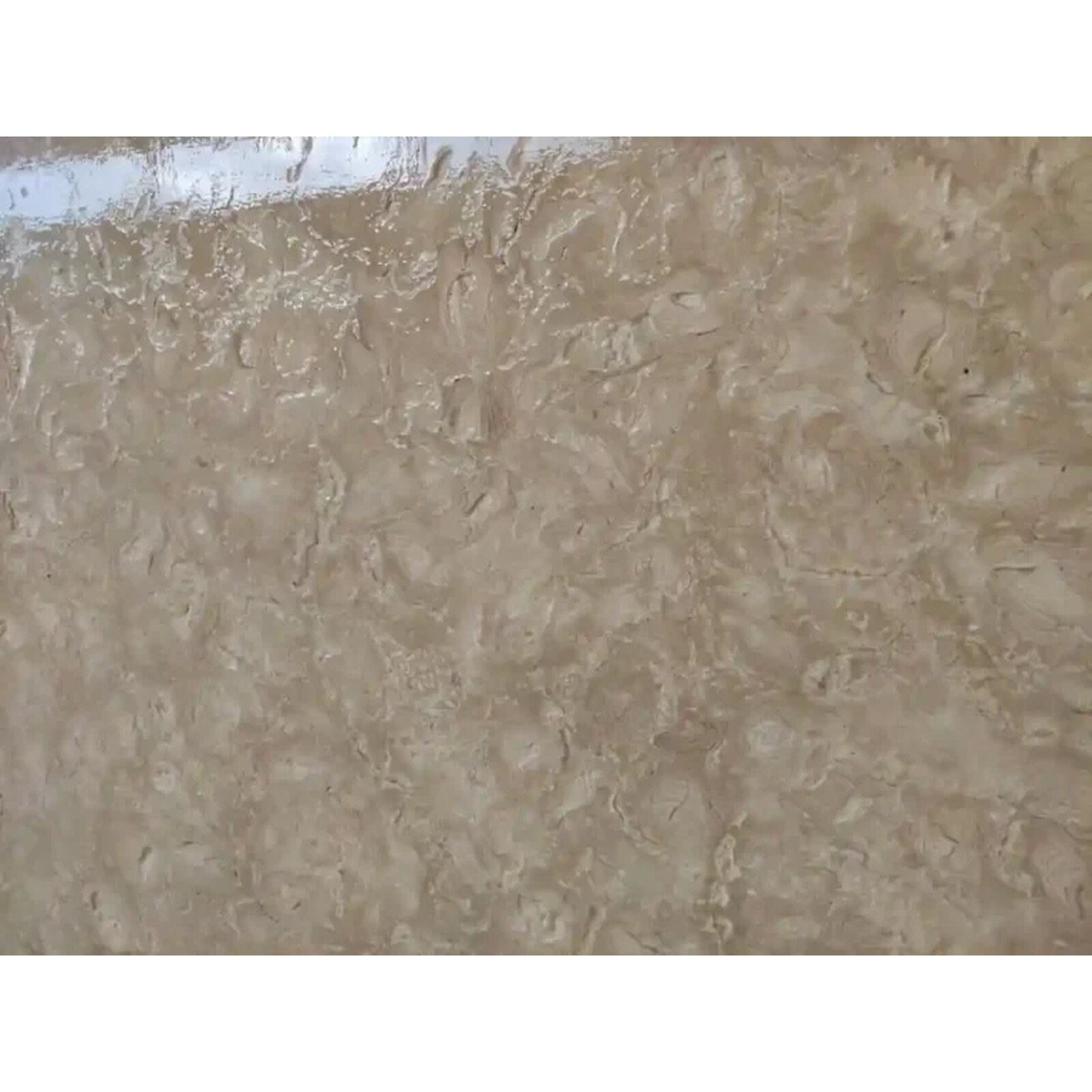 Ocean Reef Shellstone Slabs